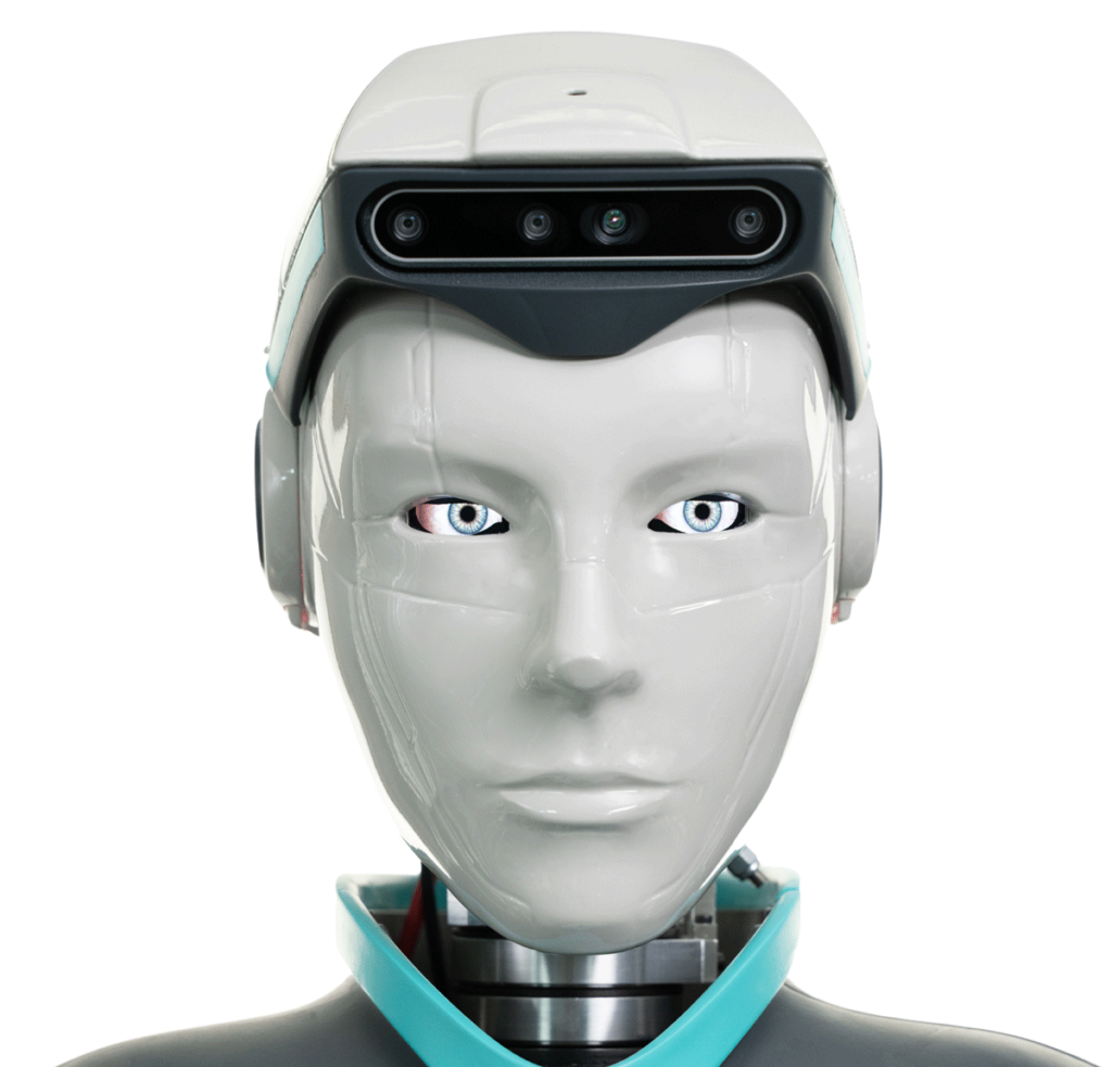 RoBee, Robot per Compiti Gravosi, Oversonic